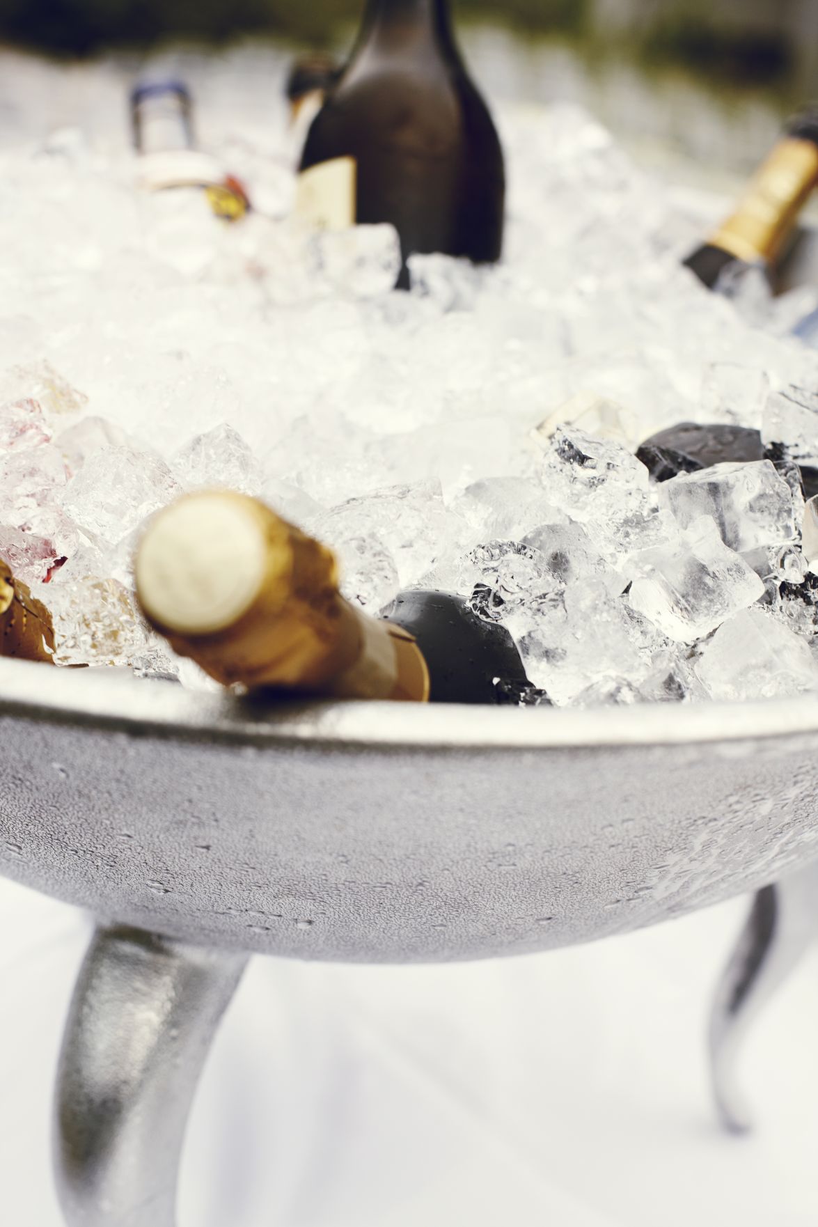 Best champagnes